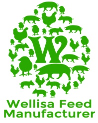 Wellisa Feed